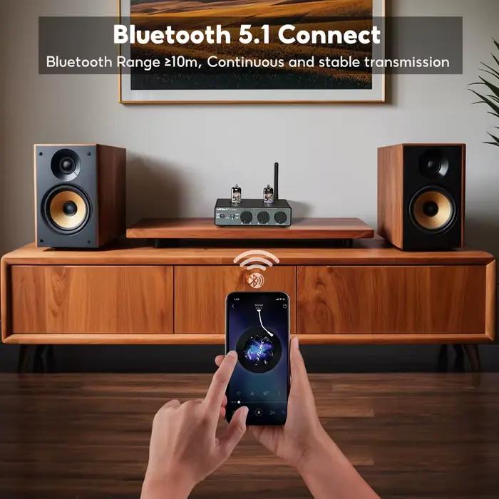 AIYIMA-Audio Rack Pro Bluetooth Tube Preamplifier, Hifi Stereo Amp Valve Vacuum, Treble and Bass Ton