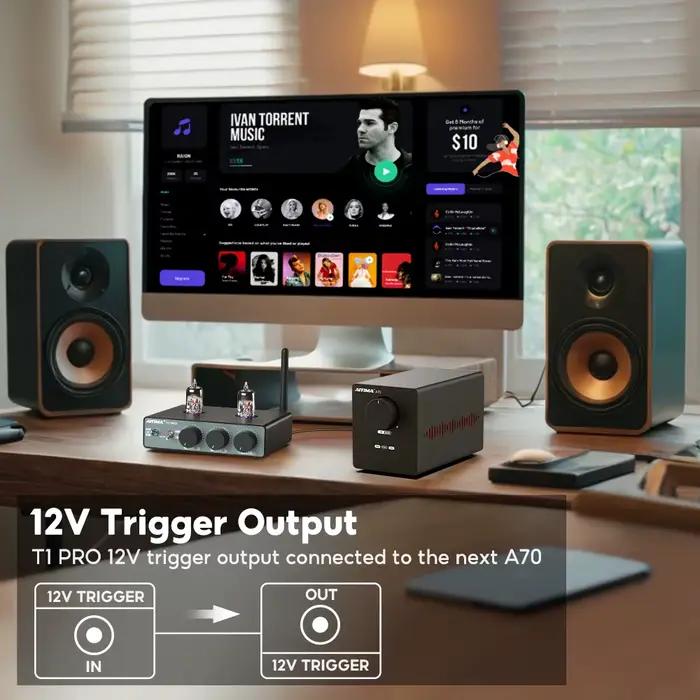 AIYIMA-Audio Rack Pro Bluetooth Tube Preamplifier, Hifi Stereo Amp Valve Vacuum, Treble and Bass Ton